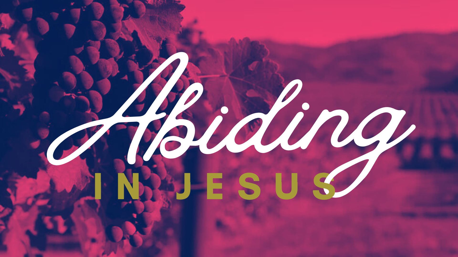 Sunday Series: Abiding in Jesus